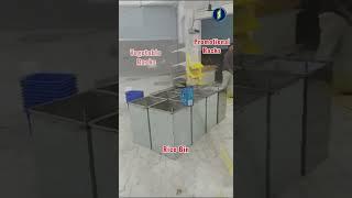 Departmental Store Rack Setup | Full Retail Display Installation #business #trending #shorts