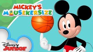 Mickey's Mousekersize! | 20 Minute Compilation | Mickey Mouse Clubhouse | @disneyjr