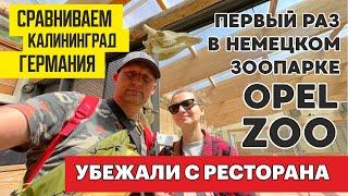 17 - ЗООПАРК в ГЕРМАНИИ  "OPEL ZOO" РЕСТОРАН ОТСТОЙ ОДИН ФАСТ ФУД /ИЩЕМ ГДЕ ПОЕСТЬ /ЖИЗНЬ В ГЕРМАНИИ