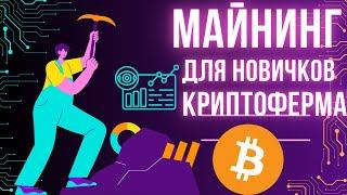 МАЙНИНГ БИТКОИНА | ПОЛНОЕ РУКОВОДСТВО | ЗАПУСК КРИПТО-ФЕРМЫ С НУЛЯ | ДОХОД ОТ 100$ В ДЕНЬ.