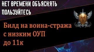 Билд на воина-стража с низким ОУП до 11к. //Neverwinter online Мод.12