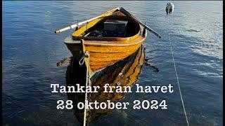 Tankar från havet 28 oktober 2024 återuppladdning.