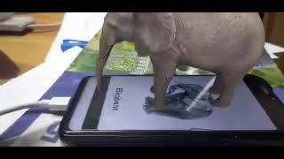 ANIMAL 4D : How to do it in your Phone