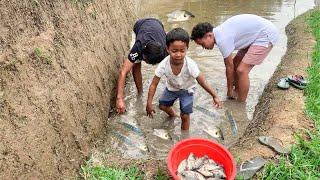 Gak Nyaka Dapet Ikan Mujair Sebanyak Ini di Sawah