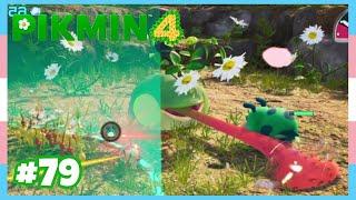 *Finding Moss* Olimar's Shipwreck Tale Day 4 *Blossoming Arcadia* #79 - Pikmin 4