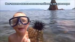 Как поймать Морского ежа. Ловля морских ежей в Японском море.