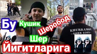 Бу кушик Шеробод шер йигитлар мусофирдаги дустлар учун