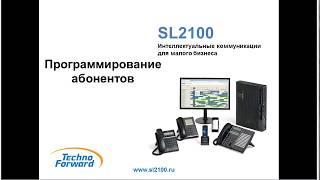 4.  Программирование абонентов NEC SL2100