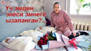 Үч эмдин энеси эмнеге ызаланган?... |Кыргыз Туусу