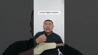 Калыгулдун санаты аткаруучу КАМЧЫБЕК ТУРГАНОВ