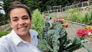 WE GOT the CHICKS!! Full June Garden Tour and Chicken Coop, Bee Update!