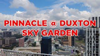 Pinnacle Duxton Sky Garden || Walking Singapore