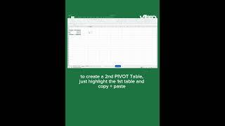 MS EXCEL USING PIVOT TABLES and SLICER