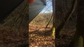 Spring wild camping Breed East Sussex