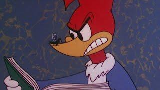The Pesky Bug | Woody Woodpecker