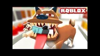 УБЕГАЕМ ОТ СОБАЧКИ В ИГРЕ Roblox Escape the Pet Store Obby!