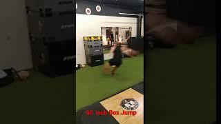 60 Inch Box Jump-Gena Adams