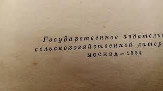 Пасека.Вывод маток,без переноса личинок..Простой  метод,чтобы получить   хороших маток.