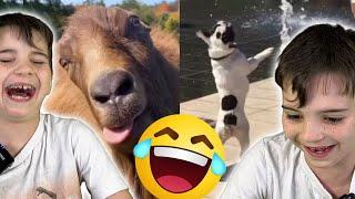 The World's FUNNIEST Animals!(Try Not To Laugh Challenge For Kids)!