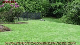 Husqvarna 430XH Automower Mowing A Lawn In Virginia (430X Automower)