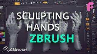 Sculpting Hands in ZBrush Like a Pro