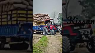 Desi chora  this is kisaan life
