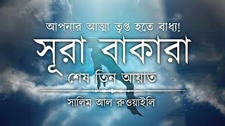  আপনার অন্তর তৃপ্ত হতে বাধ্য┇ সূরা বাকারার শেষ তিন আয়াত┇Recited By Salem Ruwaili ┇An Nafee┇আন নাফী