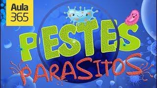 Parásitos y Pestes | Videos Educativos Aula365