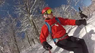 Skiing powder on a bluebird day in Nozawa Onsen, Japan