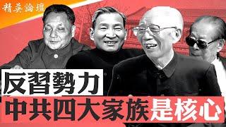 揭秘滲透黨政軍商的#中共 四大家族；#習近平 削藩過河拆橋，得罪紅朝兄弟遭反噬；江家子孫緊抓錢袋子，悶聲大發財海外資產超萬億；胡耀邦感嘆，若葉劍英在不會下臺，廣東葉家衰落始末#精英論壇 6/22/25