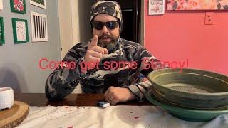 I Challenge You Stoney Creek Sparkchaser
