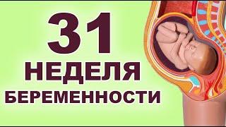 Что происходит с ребенком и мамой на 31 неделе беременности? 7 месяц беременности. Третий триместр.