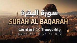 [Subtitled] Surah Al-Baqarah - Comfort and Tranquility | Omar bin Diaa Al-Din