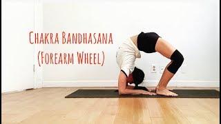 4 Steps To Deepen Your Yoga Forearm Wheel Pose (Chakra Bandhasana) With Shana Meyerson YOGAthletica