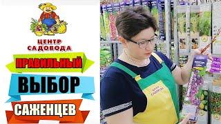 ПРАВИЛЬНО ВЫБИРАЕМ САЖЕНЦЫ ПЛОДОВЫХ КУЛЬТУР. ГДЕ и КАК ХРАНИТЬ?