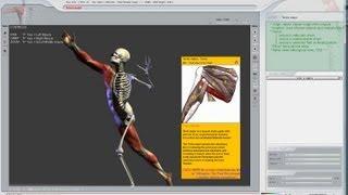 Learn Human Anatomy The EASY WAY. 3D Virtual Software