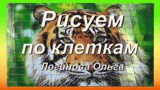 Как нарисовать по клеточкам тигра. Логинова Ольга.