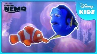 🪼 Dory & Marlin’s Jellyfish Race!  | Finding Nemo | Disney Kids