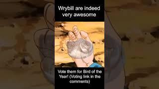 The Power of Wrybill! Vote them for 2024 Bird of the Year!