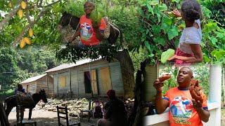 Viven en un Paraiso pero Apartado de la Civilizacion, La vida del Campo