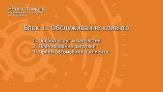 Введение к презентации Нетикс Трицепс