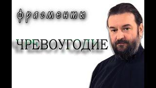 Сначала обжорство , потом разврат. Протоиерей  Андрей Ткачёв