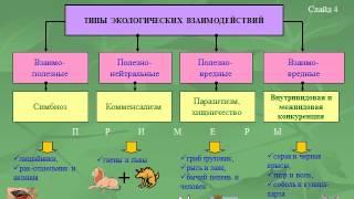 Презентация Факторы среды и их влияние на биоценозы