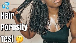 HOW TO TEST HAIR POROSITY | LOW POROSITY HAIR TEST