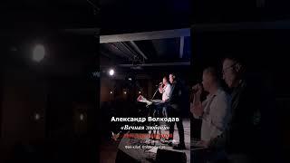 Александр Волкодав - Вечная любовь (СПб, 10.02.2024) #гнездоглухаряспб #голос #voice