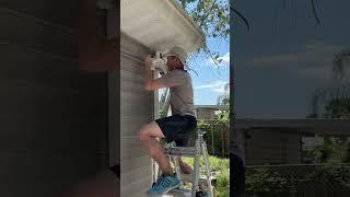 249- Huge yard cleanup #yard #yardwork #yardmaintenance #cleaning #housework #houserenovation