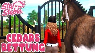 Cedar muss frei sein!  Star Stable Online