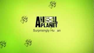 Animal Planet Bumper