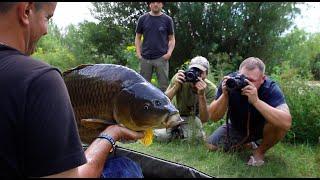 ***WILD CARP FISHING*** - Is this the Most UNIQUE Lake?