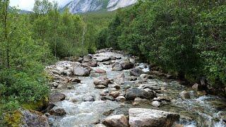 River flowing in a lush green mountain valley